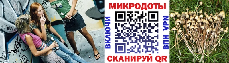 Псилоцибиновые грибы прущие грибы  дарнет шоп  маркетплейс как зайти  Валуйки 